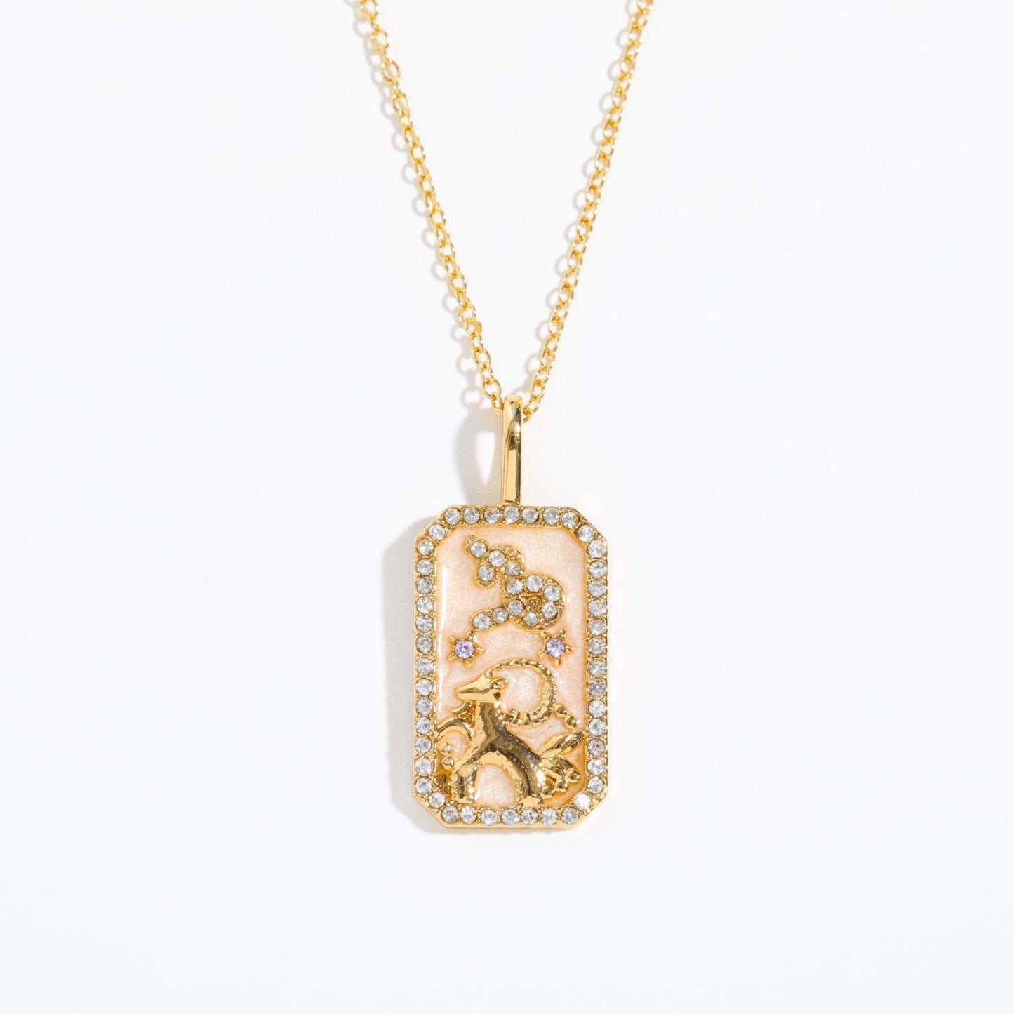 Capricorn Zodiac Amulet