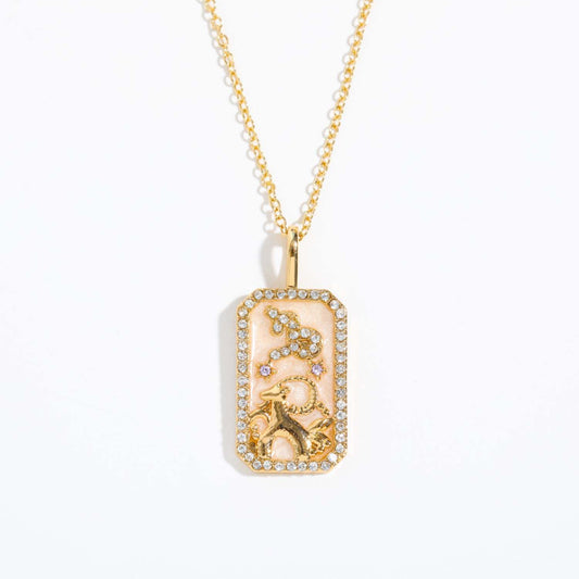 Capricorn Zodiac Amulet